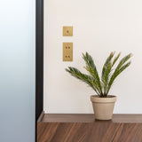 Schalter mit vier Kipphebeln in vertikalem Zweifachrahmen – Antikes Messing – ist an eine weisse Wand montiert, darunter ein dunkles Holzmöbel mit einer Pflanze. 